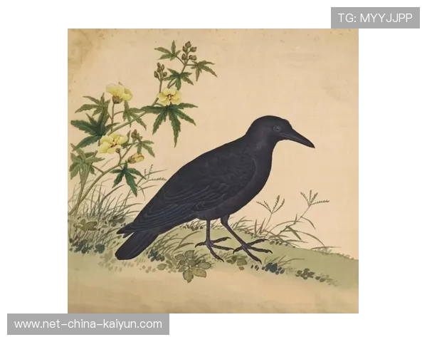 乌鸦防线表现完美，对手几乎无解，乌鸦攻击什么